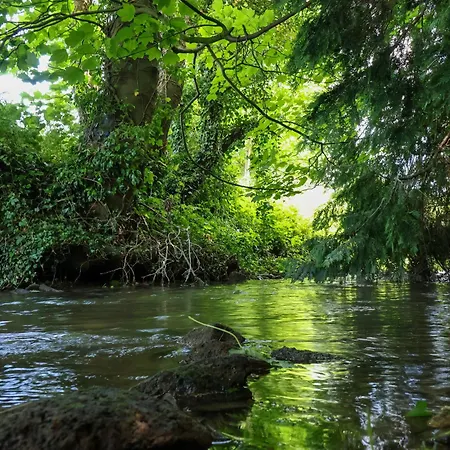 Dom wakacyjny 2 Beck Malton